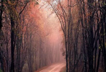 九州体育:1月1日起“双通道”定点零售药店购药需电子处方.