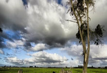 九州体育官方网站:西甲第29輪塞維利亞1-0馬德裏競技 阿庫尼亞頭球破門奧布拉克撲點難救主.