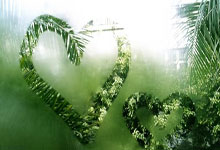 九州体育官网:阿聯酋媒體:本托不會因亞洲杯提早出局而被解雇!.